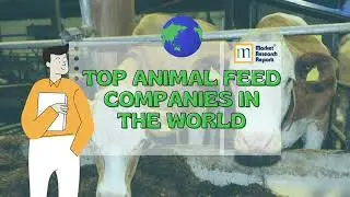 Top Animal Feed Companies in the World