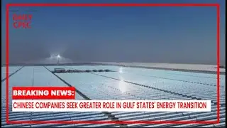 Chinese Firms Eye Bigger Role in Gulf Energy Transition | The Daily CPEC