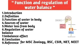 Function and regulation of water | Balance source of water | Water loss from body | Imbalance effect