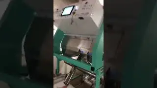 peanut color sorter