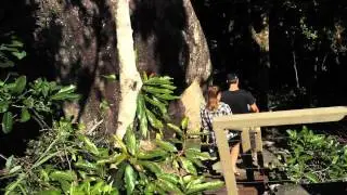 Behind the Scenes Cairns Day 4  Fitzroy Island