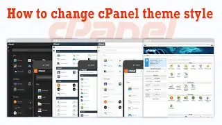 How to change cPanel theme style | cPnael | Pro Tutorials BD