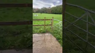 College and electric  fencing #farming #farmwork #countrylife #farmlife #agriculture #workingfarm