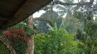 🌧️ Super Heavy Rain Sound Therapy | Fall Asleep Instantly & Heal Your Inner World