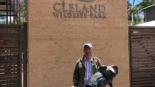 Cleland Wildlife Park &ldquo;Priceless Experience!&rdquo;(Day 75 Trip Around The World)🇦🇺