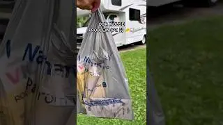 OUR MOUSE PROBLEM (PT. 2) 🧀🐭#rv #rvconversion #mice #mouse #rvlifestyle