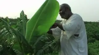 Sudan struggles to develop farming