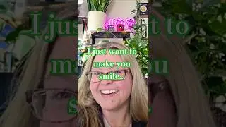 This Is Where Faith Meets Foliage! (Quick Channel Overview) #family