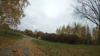 Лошадка