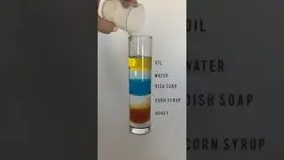 this is how surface tension works