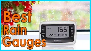 Best Rain Gauges [Top 5 Picks]