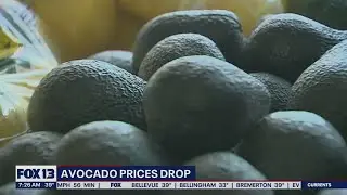Avocado prices are dropping in the U.S. | FOX 13 Seattle