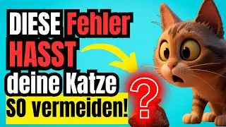 Achtung Katzenhalter: Diese Fehler machen deine Katze heimlich ungl&uuml;cklich &ndash; SO vermeidest du sie