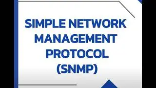 Network Basics: What Is SNMP and How Does It Work?