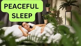 Peaceful Sleep -  Guided Meditation for Deep Sleep, Relaxation, and Peace  #sleep #peace #meditation