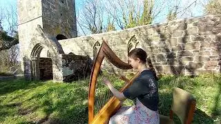 Tale as Old as Time - Beauty and the Beast (harp cover) - Noor Tresidder Tonkin