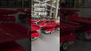 Meet the Robots That Never Stop Sorting! 🤖🔄