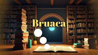 Qual Significado de Bruaca? Qual Defini&ccedil;&atilde;o de Bruaca? Sin&ocirc;nimo e Outras Informa&ccedil;&otilde;es de Bruaca