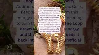 ✨ The Power of the Feedback Loop | Light-Life Tools by Slim Spurling ✨