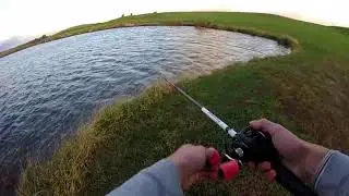 My New Favorite Swimbait!!! (Beast Coast Miyagi Swimmer)