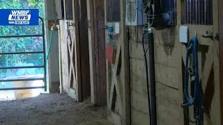 5K reward offered in deadly Horry County horse shooting