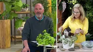 Bernini Cordless Casa Cottage Fountain With Waterwheel on QVC