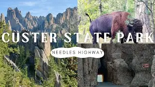 Driving Custer State Park / Needles Highway in Under 11 Minutes