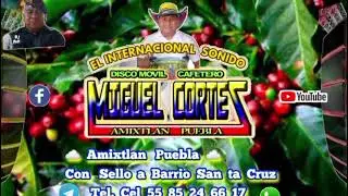 Cumbia de los pajaritos versión 2025 - El perron de la cumbia 