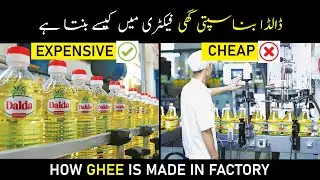 How ghee is made in factory | Ghee Production | Making of Ghee | Urdu & Hindi | Khamosh Raaz