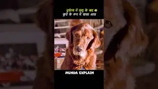 यह कुत्ता उसका मृत पति था। 😱 #doglover #short #hindi