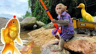 Умный Бим Бим помогает папе ловить утят