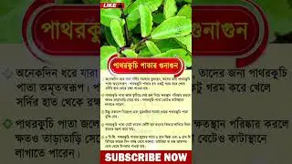 পাথরকুচি পাতার উপকারিতা #shorts #viral #shortsfeed #trending #shortvideo #viralvideo #tips