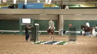 Ludger Beerbaum Goldfever