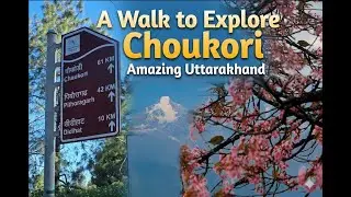 A Walk to Explore Choukori  -  Day 5 | Amazing Uttarakhand | A day only to Walk