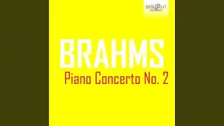 Piano Concerto No. 2 in B-Flat Major, Op. 83: I. Allegro non troppo (8)