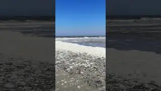 Schaumbad am Nordstrand Norderney