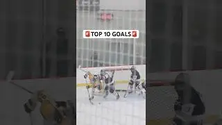 Топ-10 голов турнира Pat Quinn Classic уже на YouTube! #cellyentertainment #hockey