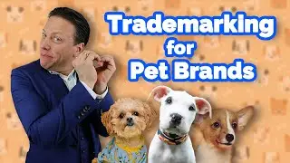 Best Pet Brands | Brands In Pop Culture