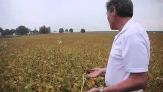Plant nutrition to maximize soybeans & corn yield