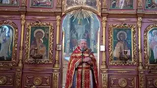 Проповедь протоиерея Василия Корнуты в Неделю 3-ю по Пасхе (22.05.2024)