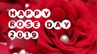 Happy Rose Day What's app status 2019. Rose Day Wishes 2019