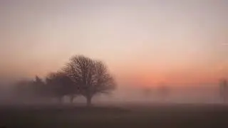 8Lives - Morning Light #atmospheric #dubtechno