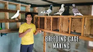 പഴയ ഷെൽഫ് കൊണ്ട് പ്രാവുകൾക് breeding cage ഉണ്ടാക്കി. pigeons cage making Malayalam