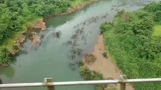 Kokan Nature Beauty | Kokan Railways | Kokan In Monsoon