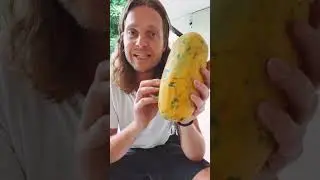 tropical fruit tasting you don&rsquo;t see in supermarkets.