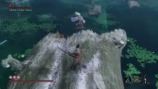 Okami leader Boss fight | Sekiro
