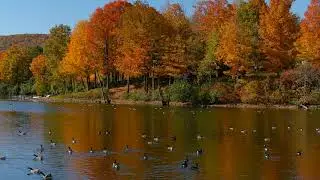 Autumn in the Finger Lakes