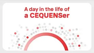 A Day in the Life of a CEQUENSer