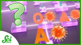 What Omicron Means for the Pandemic&rsquo;s Future | SciShow News