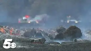 Latest News | How controlled burns help manage forests across Arkansas